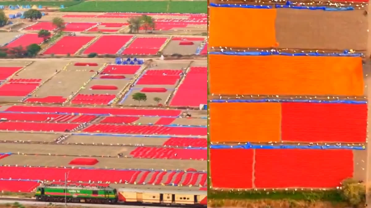 1200 675 26177171 thumbnail 16x9 chilli field aspera