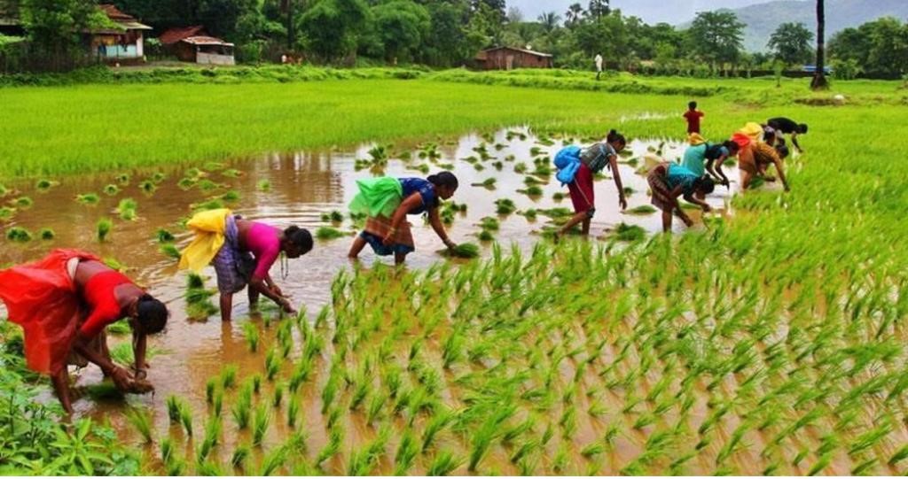 Guntur Prepares for Kharif 2026 Farming Season fatmzqdzjpzwp5sjoshwclvkhdfkdjoctuxvtugtfqtyakxou2xzjak12qrmqn5gs9ji1 e9 o zsnjmqt7fikgnka4m5b qzw0resgivxhcro5suvxt68cecsuh3xnhruwtlwwozzl4xfnn9th5s9qpblrofw6mf h6hcimrvub6m scnucbsvxslpwobu2