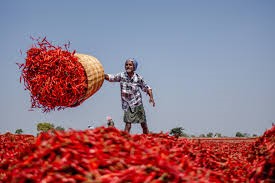 mirchi