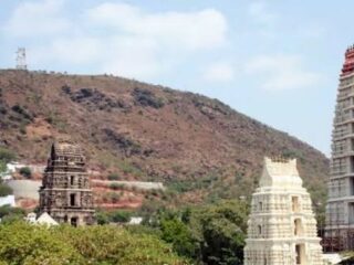 images 28